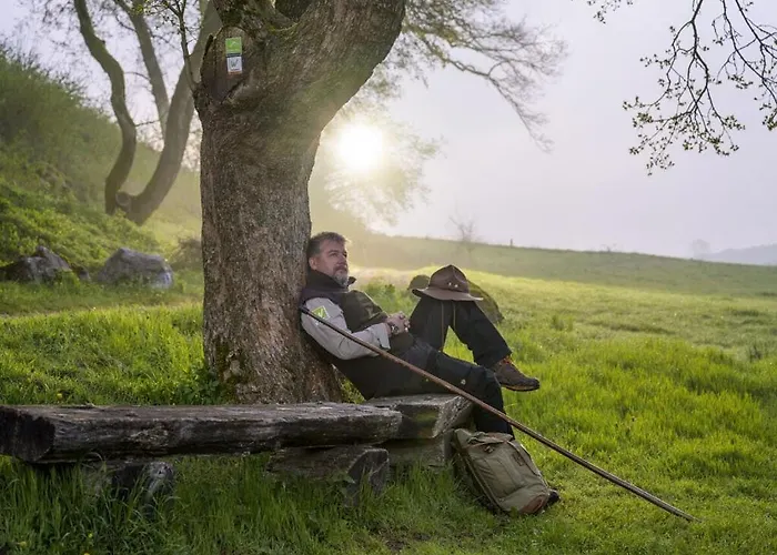 Panorama Modern Retreat 度假居 埃斯洛黑