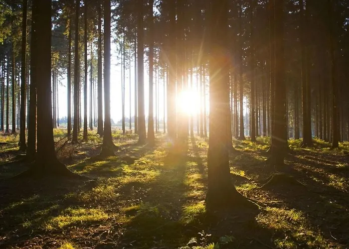 度假居 Panorama Modern Retreat *